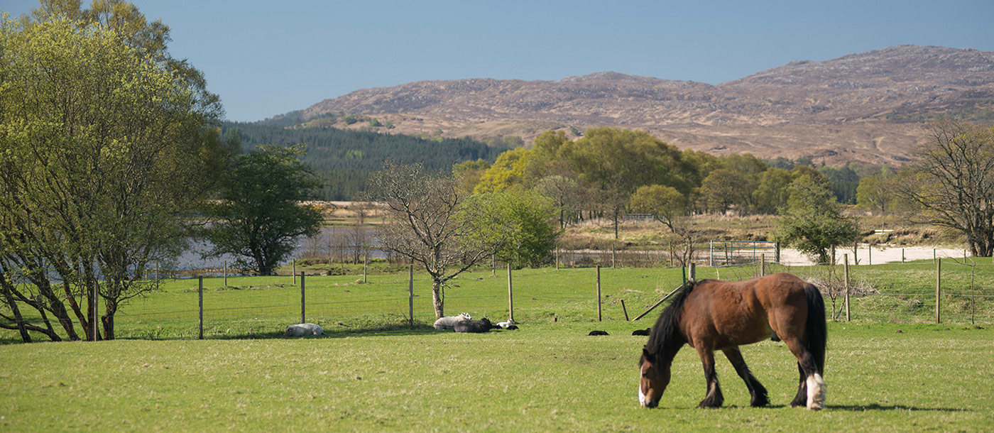 The Old Byre - Langal