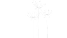 Grasses